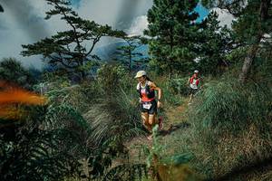 BIB: 
                            <button type="button" onclick="openModal(25258025)" class="btn btn-primary btn-sm float-right btn-popup" data-toggle="modal" data-target=".modal-high-quality">
                        <i class="fas fa-shopping-cart"></i> Add to Cart
                    </button>
                                            <button type="button" onclick="isThisMe(25258025, true)" class="btn btn-success btn-sm float-right btn-popup btn-isme hidden" data-toggle="tooltip" data-placement="bottom" title="นี่คือรูปของคุณใช่ไหม คลิกที่นี่เพื่อเอาเข้าอัลบั้ม">
                        <i class="fas fa-plus"></i> Add to album
                    </button>
                    <button type="button" onclick="isThisMe(25258025, false)" class="btn btn-warning btn-sm float-right btn-popup btn-isnotme hidden">
                        <i class="fas fa-ban"></i> Remove from album
                    </button>